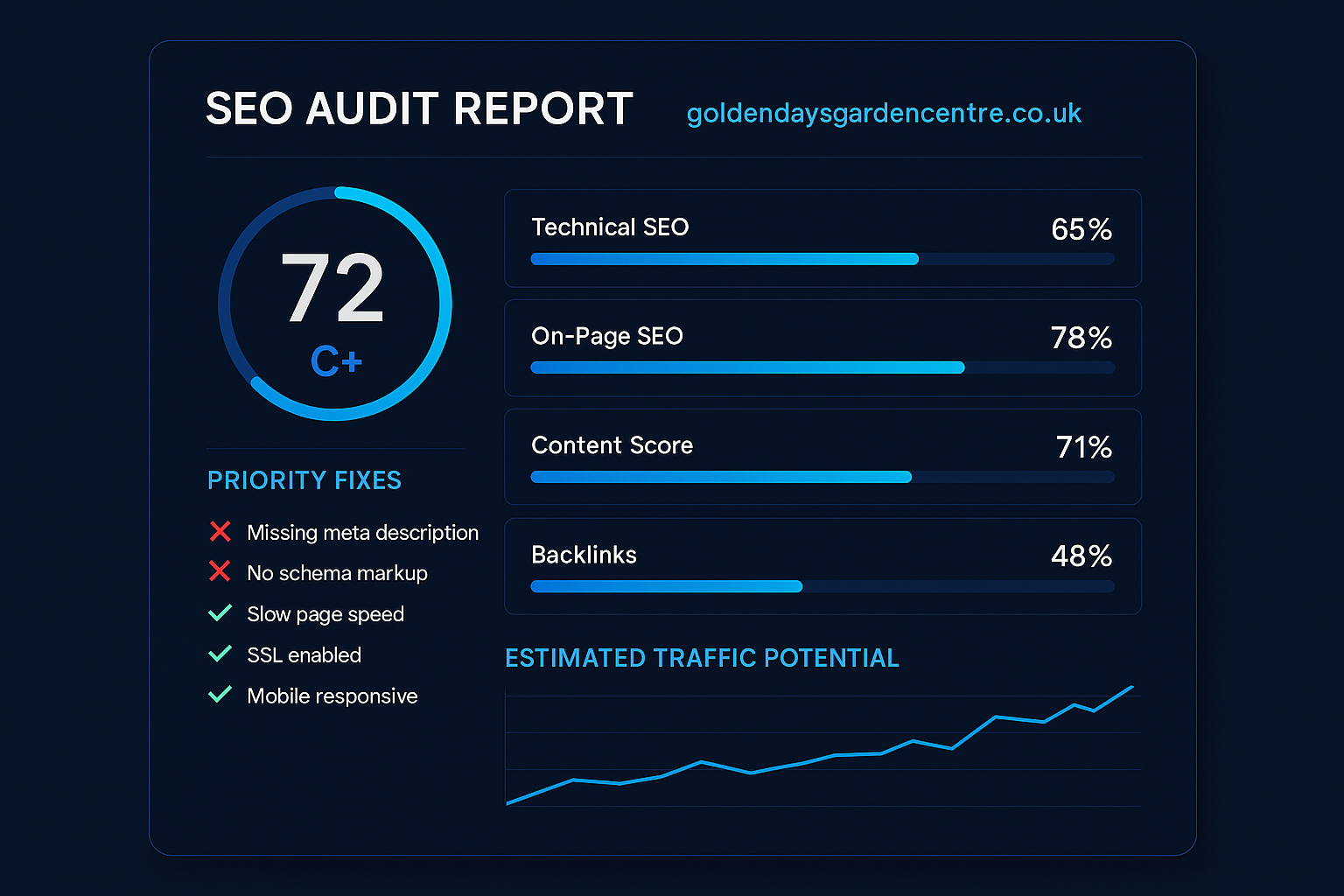 Professional SEO Audit Report — Colour-Coded Website Health Check